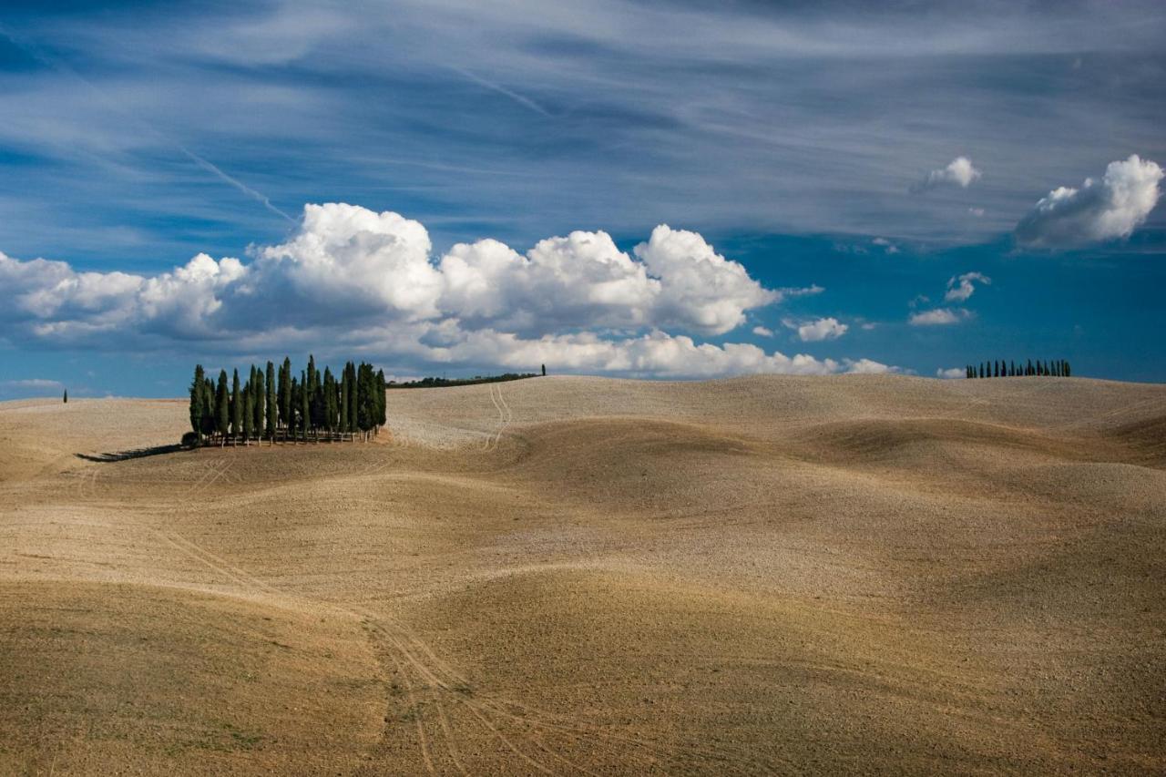 Chimera Tuscany Resort Ареццо Экстерьер фото